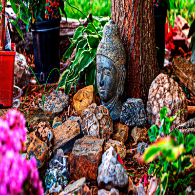Bodhi Day Places to See